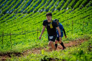 BIB: 240
                            <button type="button" onclick="openModal(19162447)" class="btn btn-primary btn-sm float-right btn-popup" data-toggle="modal" data-target=".modal-high-quality">
                        <i class="fas fa-shopping-cart"></i> Add to Cart
                    </button>
                                            <button type="button" onclick="isThisMe(19162447, true)" class="btn btn-success btn-sm float-right btn-popup btn-isme hidden" data-toggle="tooltip" data-placement="bottom" title="นี่คือรูปของคุณใช่ไหม คลิกที่นี่เพื่อเอาเข้าอัลบั้ม">
                        <i class="fas fa-plus"></i> Add to album
                    </button>
                    <button type="button" onclick="isThisMe(19162447, false)" class="btn btn-warning btn-sm float-right btn-popup btn-isnotme hidden">
                        <i class="fas fa-ban"></i> Remove from album
                    </button>